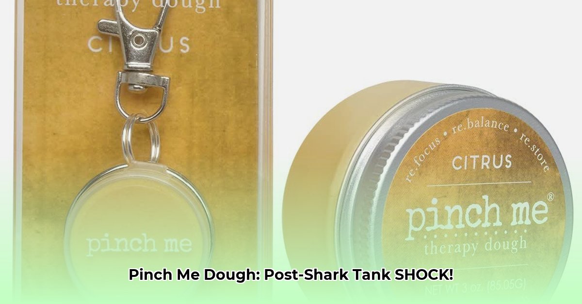 pinch-me-therapy-dough-net-worth